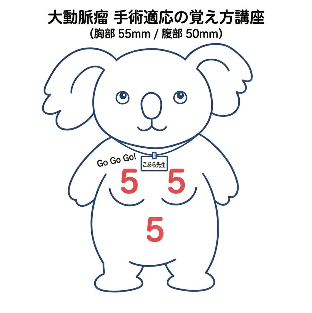 Koala illustration showing surgical thresholds for thoracic and abdominal aortic aneurysm with numbers 5 placed on chest and umbilical area（胸部大動脈瘤55mm・腹部大動脈瘤50mmの手術適応を覚えるためのこあらイラスト）